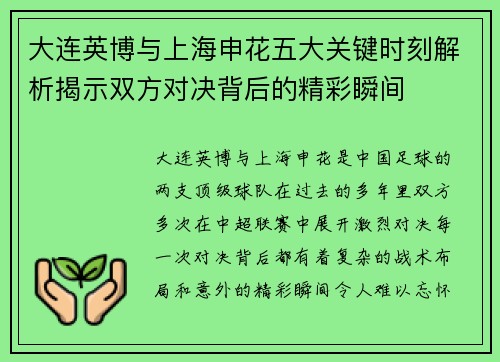大连英博与上海申花五大关键时刻解析揭示双方对决背后的精彩瞬间
