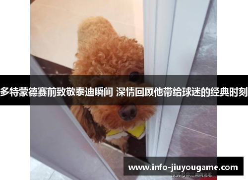 多特蒙德赛前致敬泰迪瞬间 深情回顾他带给球迷的经典时刻