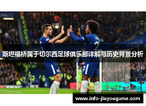 斯坦福桥属于切尔西足球俱乐部详解与历史背景分析